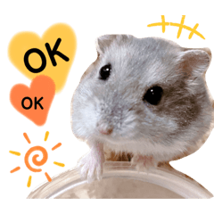 mizuki_20220215144413