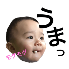 toyapon