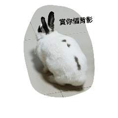 圈圈點點生活日常