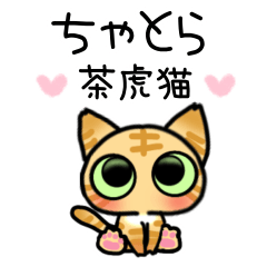 Tea tabby cat mini