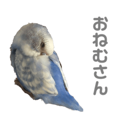 ぴーちゅけかわいいな