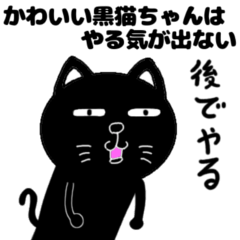 black cat darudaru