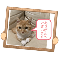 miki_20220215195416