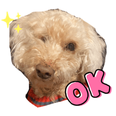 hikari_20220215144054