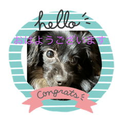miki_20220216073213