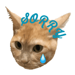 モカちゃんとやんちゃな仲間たち Line スタンプ Line Store モカちゃんとやんちゃな仲間たち Line スタンプ Line Store