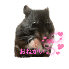 nanami_20220215211506