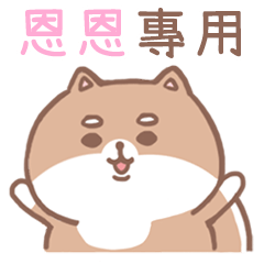 misty cat-Shiba Inu (ID-30)