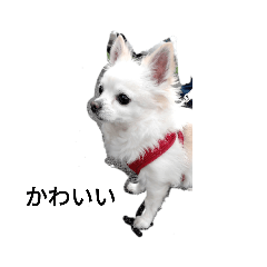 hana_20220215235123