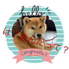 mizuki_20220215224750