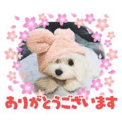 Mizuki_20220215222258