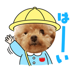 Hana_20220215210040
