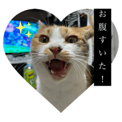 shiho_20220215212544