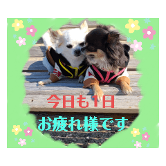 suzu_20220216132519