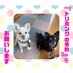 miki_20220216150712