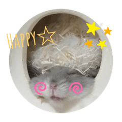 Yuka_20220215234414