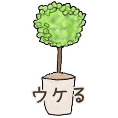 癒しの木で日常会話のお返事します！