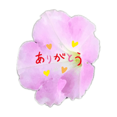 Akiko_20220215191416