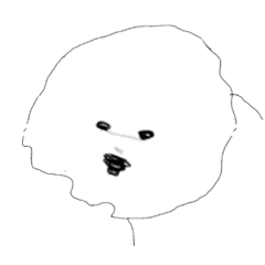 bichonfrise"TSUMUGU"