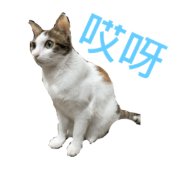 ㄋㄧㄠ好友大集結