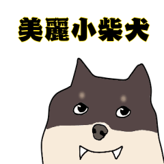 Meili Shiba Inu