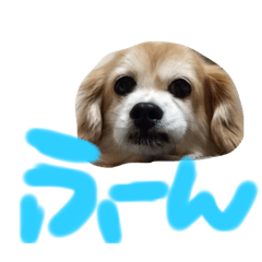 C_20220216180930
