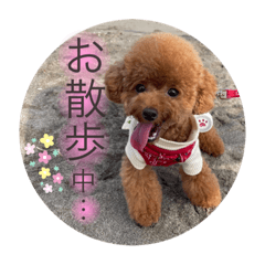 Cherry_20220216181058