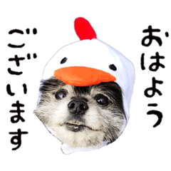 YUKA_20220216185059