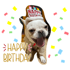 mizuki_20220216224441