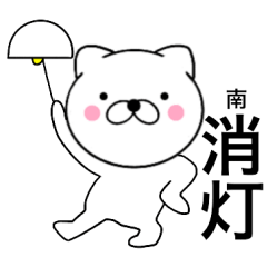 Name cat Minami