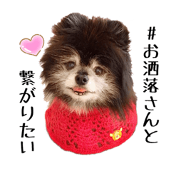 YUKA_20220217003121