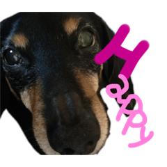 ayumi_20220217101352