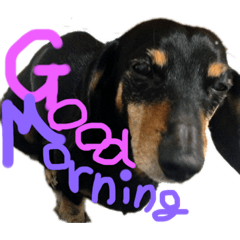 ayumi_20220217101212