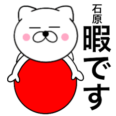 Name cat Ishihara