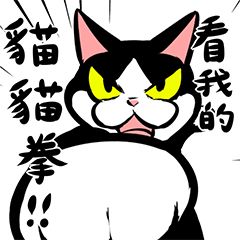 賓士貓Ohagi 16