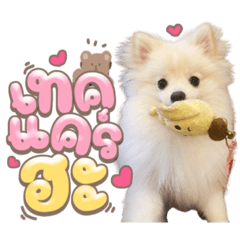 Iamnook_20220216000919