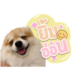 Iamnook_20220216003319