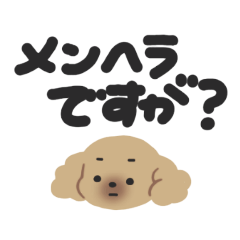 pu-taro_20220216235715