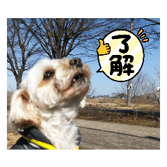 kaito_20220216224407