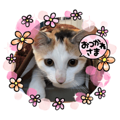 Natsumi_20220216220519