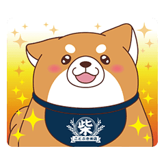 忠犬もちしば 2 Line スタンプ Line Store