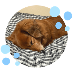 ayumi_20220216203129