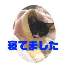 teru_202202171158212