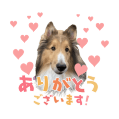 nanami_20220217114704