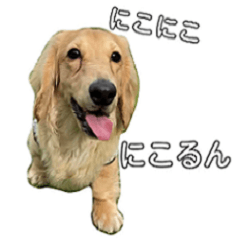 Kawaii Nicole sticker