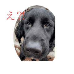 YAMAMOTOsanti_20220216211039