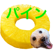 oreo fruit