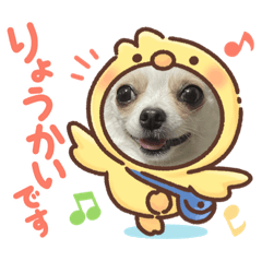 hana_20220217