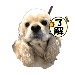 YUKA_20220217121224
