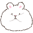Angora Rabbit ChuChu (Korean)